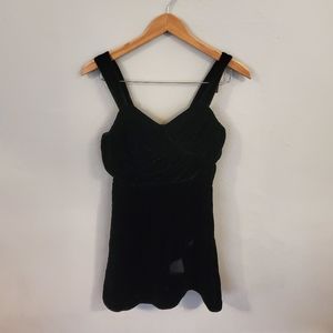 Express Velvet Dress